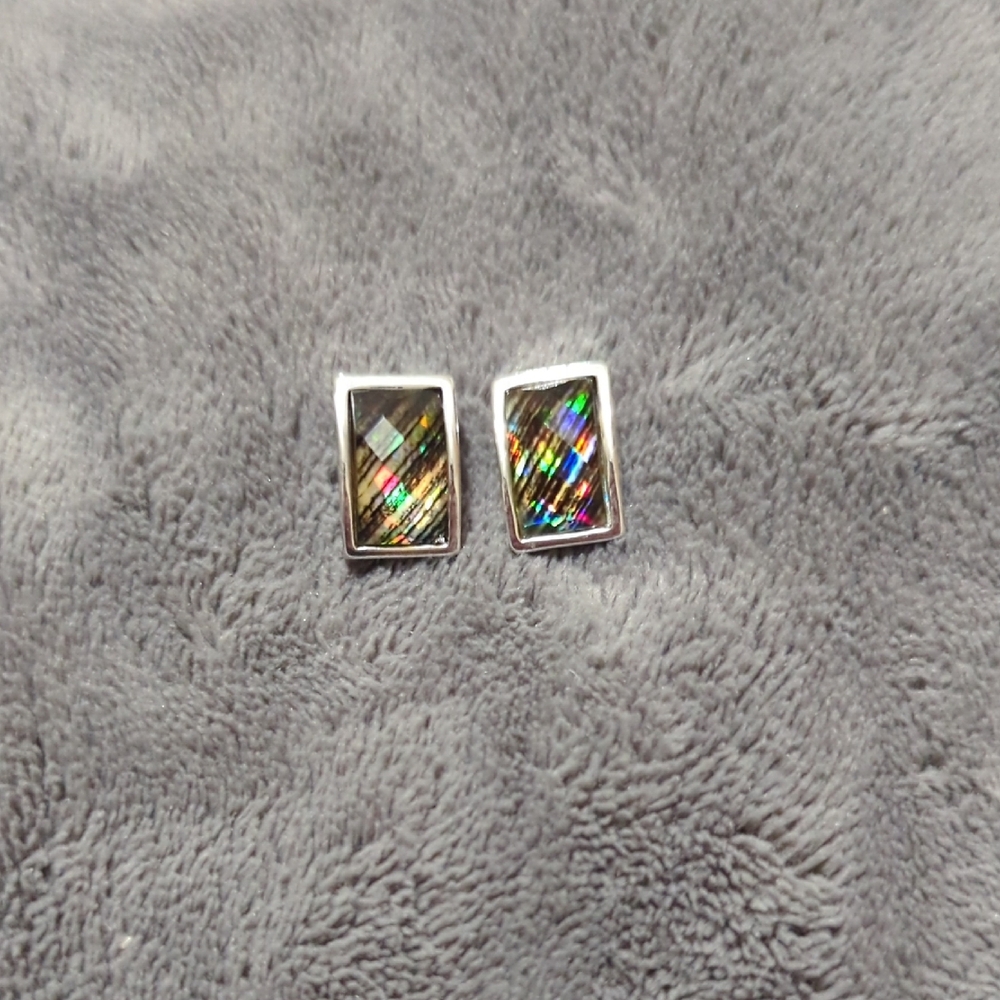 Silver and Multicolor Rectangular Earrings
